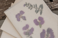 A set of 3 cards in clear paper envelopes laying on an old wooden picnic table. Each card is decorated with pressed wildflowers.