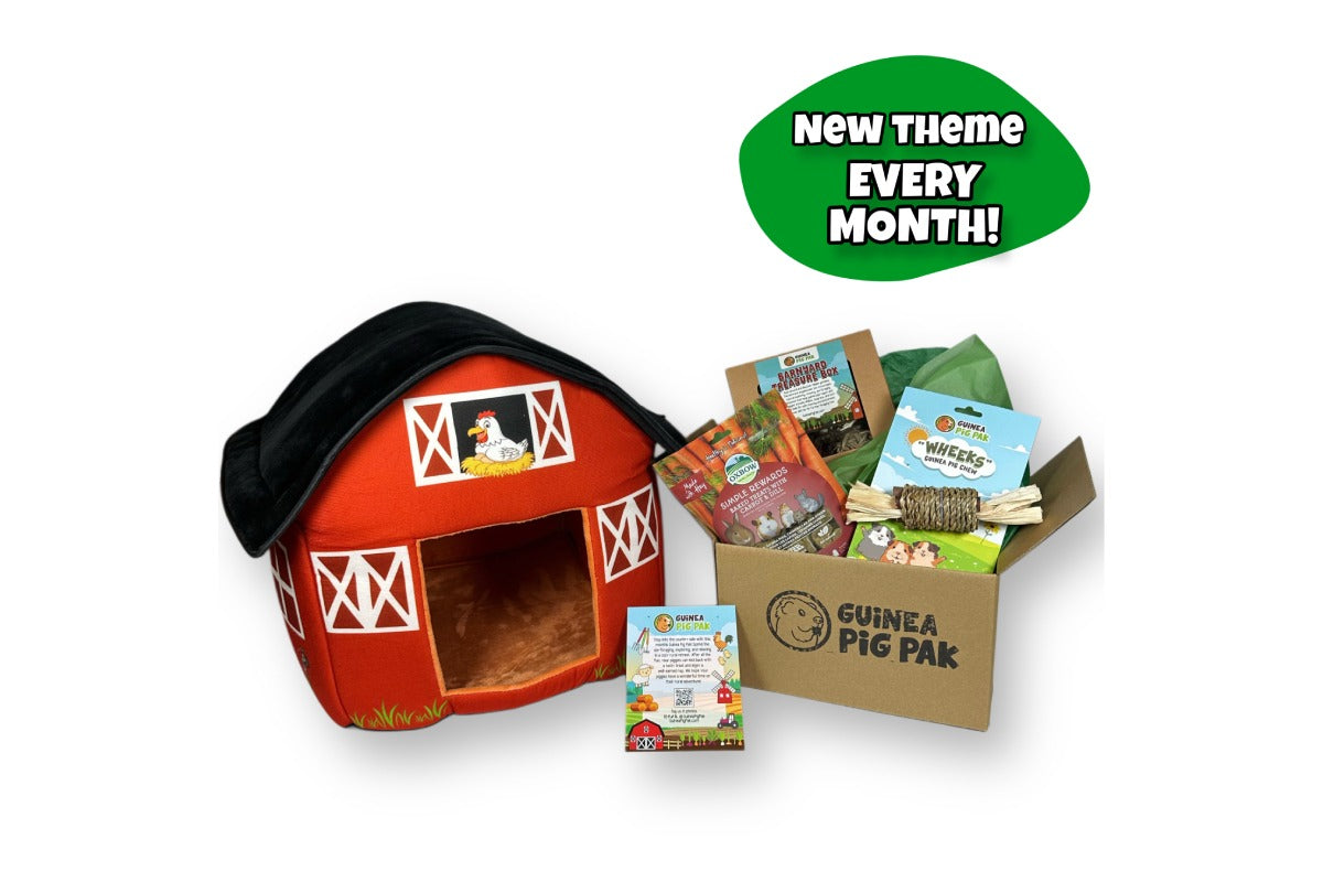 Barnyard Guinea Pig Pak featuring a large red barn hideout, Barnyard Treasure Box enrichment activity, Oxbow carrot and dill treats, natural