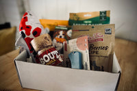 Papa Pupsie's Snax N Treats Pup Box