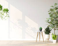 *NEW* THE PLANT CLUB 2025