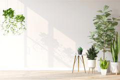 THE PLANT CLUB 2026 by My Garden Box