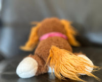 The back of Snorri. Snorri has a beautiful tail and it shows her paws on a black background. Snorri's tail is very floofy. 