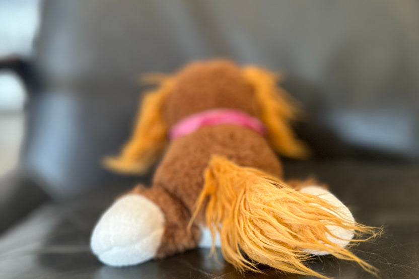 The back of Snorri. Snorri has a beautiful tail and it shows her paws on a black background. Snorri's tail is very floofy. 
