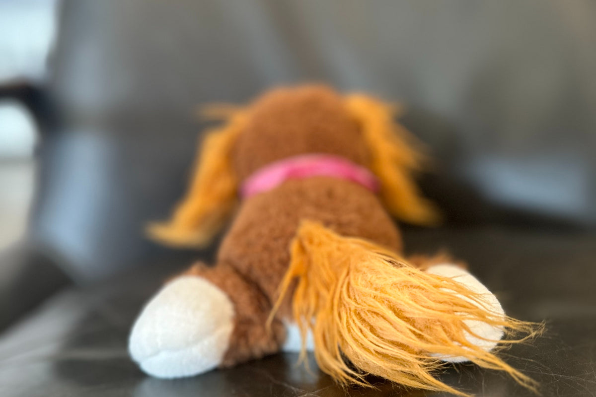 The back of Snorri. Snorri has a beautiful tail and it shows her paws on a black background. Snorri's tail is very floofy. 