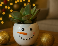 Tiny Tot Snowman with 2-inch Succulent