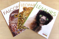 Three paperback books featuring falcons, leopards and lemurs. A sample of what to expect when you order our box.