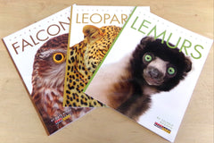 Three paperback books featuring falcons, leopards and lemurs. A sample of what to expect when you order our box.