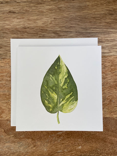 Golden Pothos Plant Any Occasion Card
