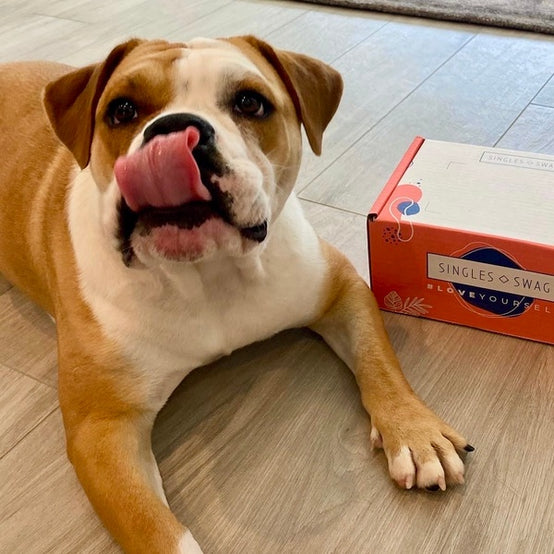 𝐃𝐨𝐠 𝐌𝐨𝐦 𝐌𝐲𝐬𝐭𝐞𝐫𝐲 𝐁𝐨𝐱 (10+ items for dogs & their amazing moms!)