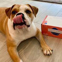𝐃𝐨𝐠 𝐌𝐨𝐦 𝐌𝐲𝐬𝐭𝐞𝐫𝐲 𝐁𝐨𝐱 (10+ items for dogs & their amazing moms!)