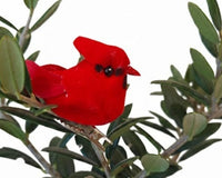 Olive Topiary Tree in Silver Metal Tin with Rope