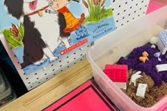 Paws & Play Sensory Box Pet Themed Activities for Kids