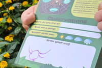 Bug Badges Bold Jumping Spider discovery card on a log with habitat clues and observation lines filled in—screen-free kids science activity 