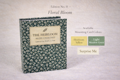 Floral Bloom Binder with Page Color Options, or a Surprise Me option if you can't decide, and a beautiful choice will be selected for you. 