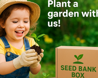 Seed Bank Box