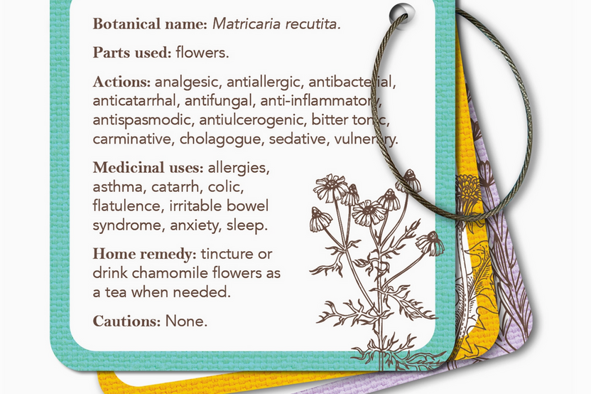 Apothecary Flashcards