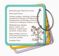 Apothecary Flashcards