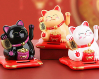 Cat - Are You Kitten Me?