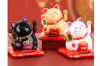        Start with our KITTEN box - then choose from 30 additional box themes for future months!  Modern Cat themed products!