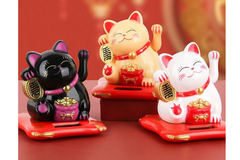         Start with our KITTEN box - then choose from 30 additional box themes for future months!  Modern Cat themed products!
