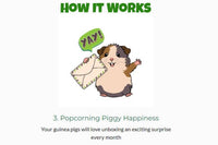 Guinea Pig Pak