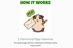 Guinea Pig Pak