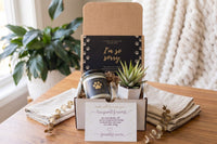 Cat Memorial Gift Box - Pet Loss Sympathy Care Package with Live Succulent & Candle
