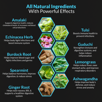 Elite Immune Support Herbal Tea Organic to Boost The Immune System Naturally