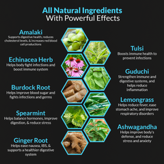 Elite Immune Support Herbal Tea Organic to Boost The Immune System Naturally