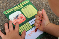 Child drawing on a Bug Badges “Mosquito” Discovery Hints card on the ground—hands-on outdoor bug hunt activity for kids