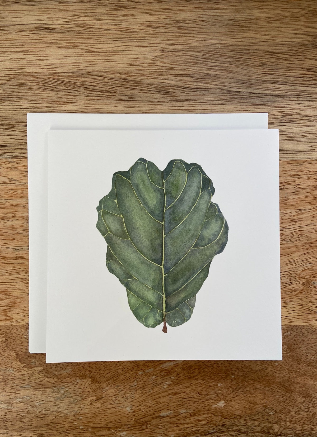 Fiddle Leaf Fig Plant Any Occasion Card