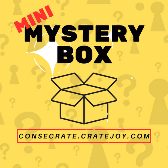 Mini Mystery Box featuring an open box design with question marks, representing curated surprises from women-owned businesses