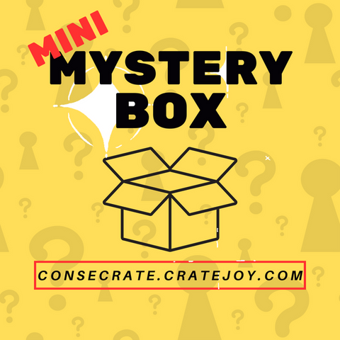Mini Mystery Box featuring an open box design with question marks, representing curated surprises from women-owned businesses