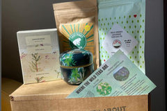 1-Month Tea Hive Box