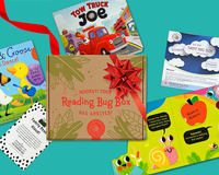 Reading Bug Box for Babies & Toddlers