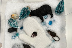 The Mitten