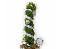 Lemon Cypress Tip Over Tree in Gold Wash Metal Tin