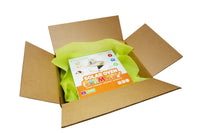 BrainStorm STEM Kit Subscription