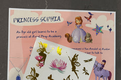 Princess fact sheet and stickers for all the little princesses who choose the fairytale theme as their monthly interest!!