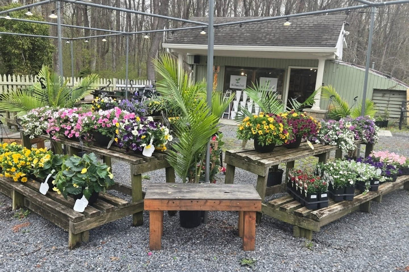 The Happy Seed Co. A boutique tea and wellness garden offering loose teas, local artisan goods, and healing experiences.