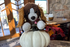 A brown and white dog sitting ontop of a white pumpkin. The dog is a stuffed animal. You can see the lighter brown ears.