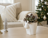 4 inch White Reindeer Head Ceramic Pot with Succulents Arrangement
