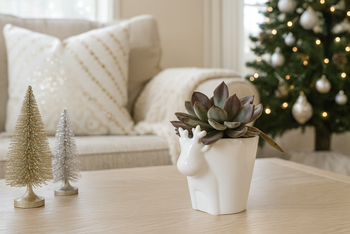 4 inch White Reindeer Head Ceramic Pot with Succulents Arrangement