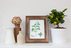 Original Botanical Art Prints (5x7)