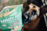 Papa Pupsie's Snax N Treats Pup Box