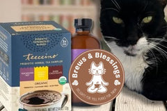 Brews & Blessings Box – Coffee, Tea & Cat Subscription Box That Helps Cats