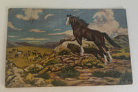 Postcards from the Past Box