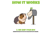 How It Works graphic showing a guinea pig beside a mailbox with a package inside, explaining that Guinea Pig Pak subscriptions ship on the 1