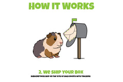 How It Works graphic showing a guinea pig beside a mailbox with a package inside, explaining that Guinea Pig Pak subscriptions ship on the 1