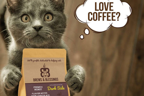 Brews & Blessings Box – Coffee, Tea & Cat Subscription Box That Helps Cats